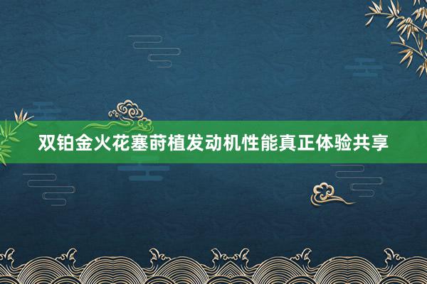 双铂金火花塞莳植发动机性能真正体验共享